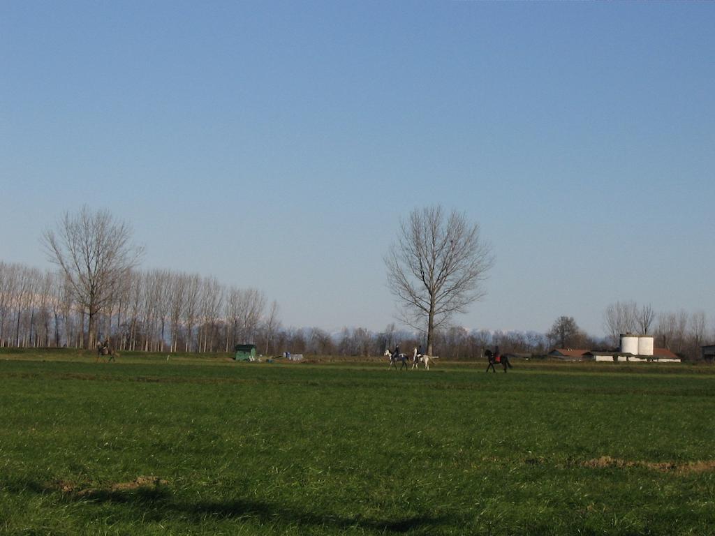 Agriturismo Cascina Gilli Villa Spino d'Adda Dış mekan fotoğraf